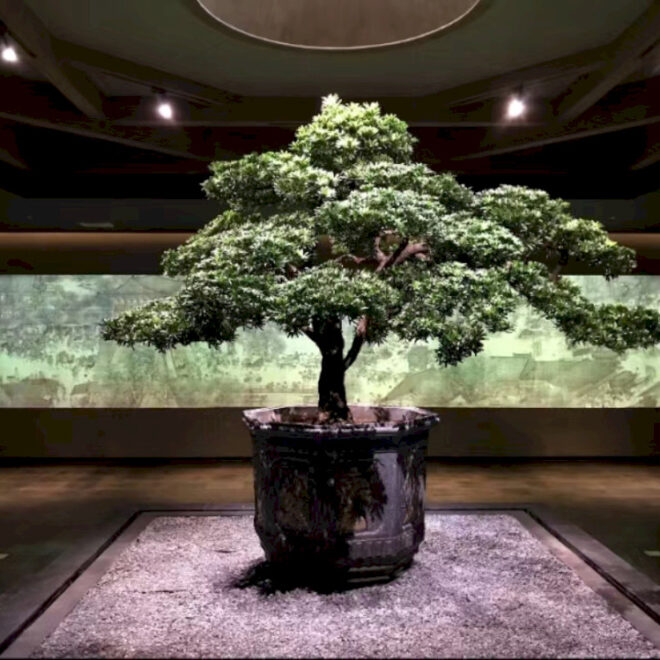 Apakah Ini Museum Seni Paling Sepi di Beijing?