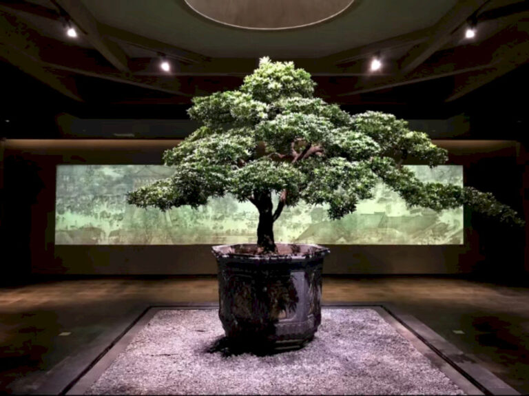 Apakah Ini Museum Seni Paling Sepi di Beijing?