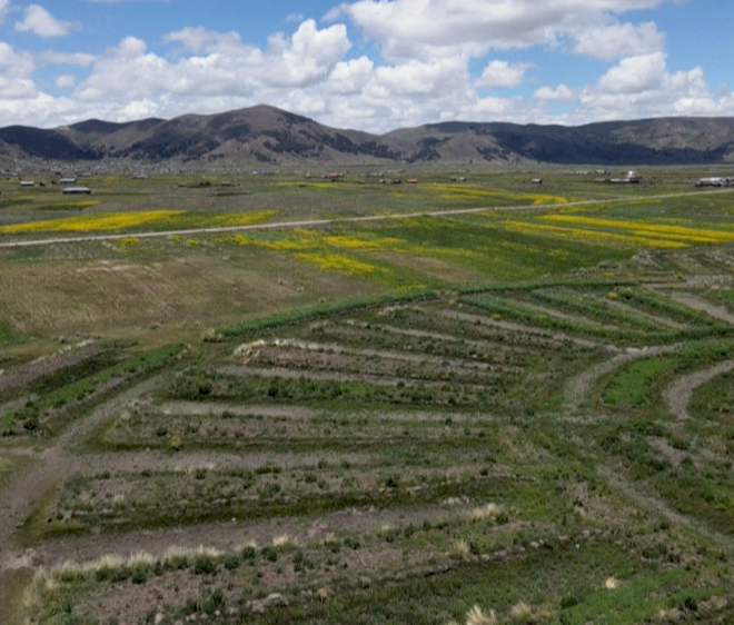 Petani Andes menggunakan teknik kuno di tengah perubahan iklim