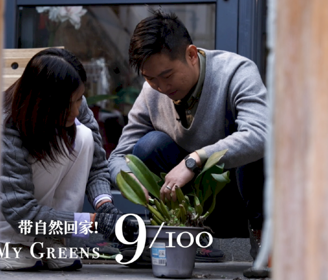 ‘Oh! My Greens’ Ep. 9: Selamat tinggal taman atap hutong Beijing