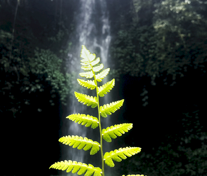 Indonesia merampungkan regulasi penangkapan dan penyimpanan karbon