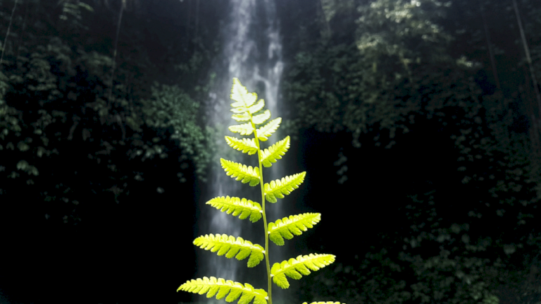 Indonesia merampungkan regulasi penangkapan dan penyimpanan karbon