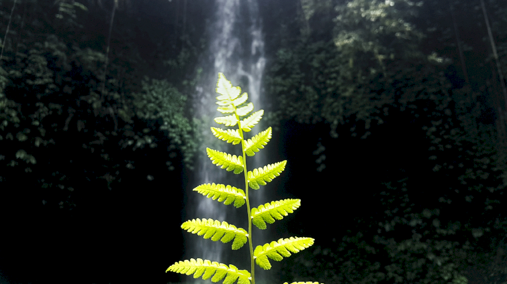 14128 indonesia merampungkan regulasi penangkapan dan penyimpanan karbon