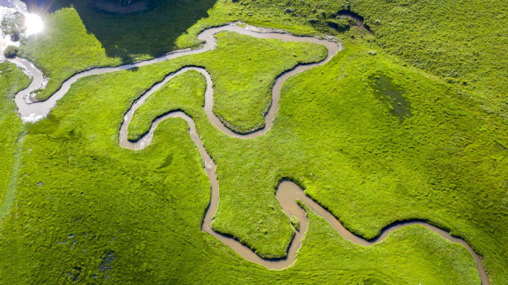 14242 ilmuwan tiongkok meneliti perlindungan lahan basah di dataran tinggi