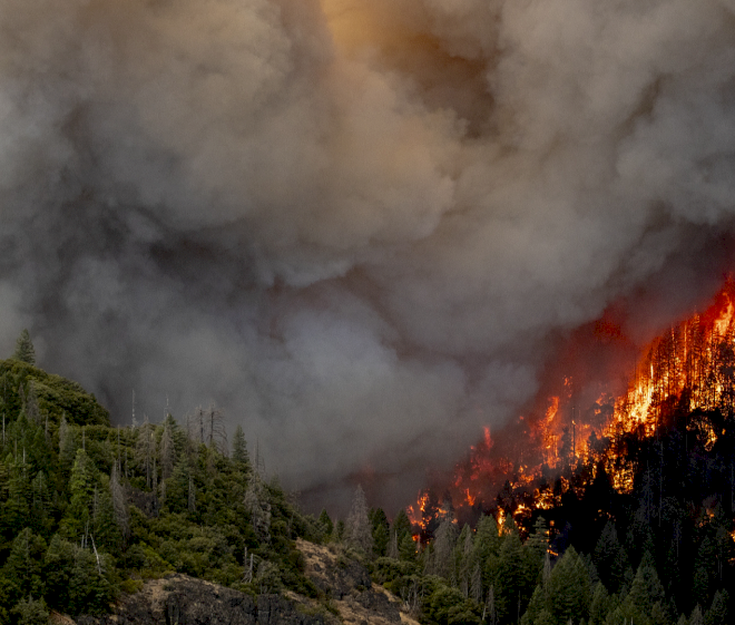 Kebakaran hutan besar melanda California, memicu status darurat