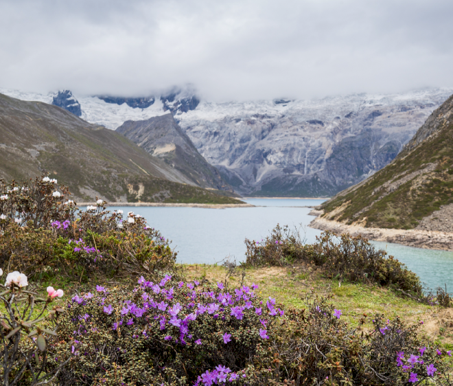 Studi: Dataran Tinggi Qinghai-Xizang di Tiongkok masih menjadi penyerap karbon