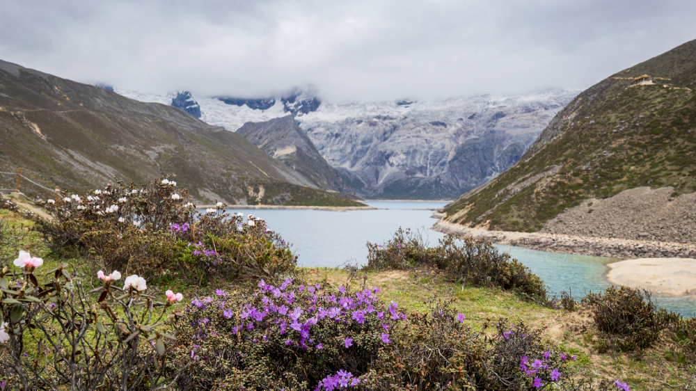 14355 studi dataran tinggi qinghai xizang di tiongkok masih menjadi penyerap karbon