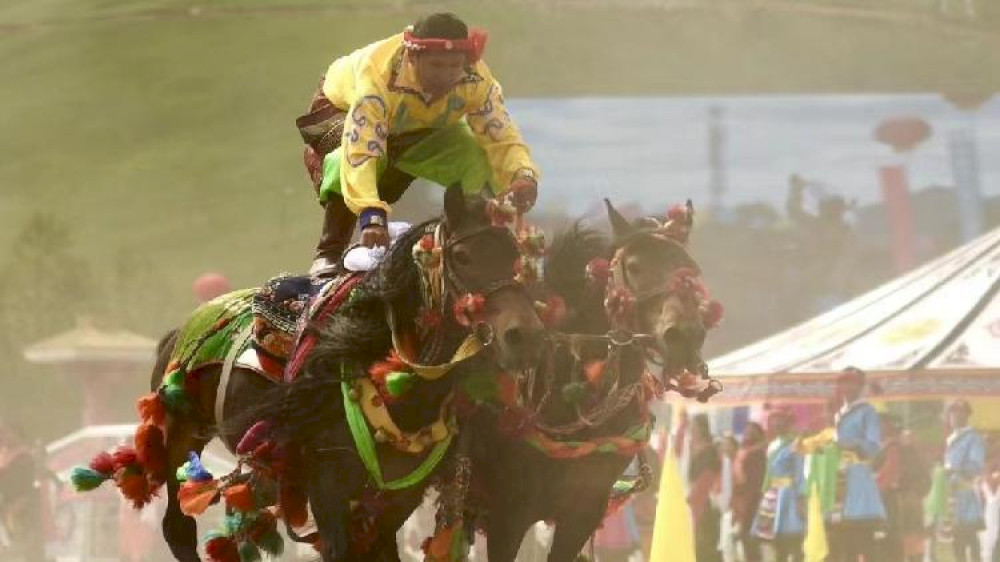 14388 rasakan sensasi balap kuda dan yak di satu festival