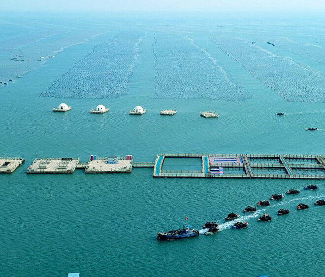 Produksi ekonomi maritim Tiongkok naik 5,6 persen pada semester pertama, kata kementerian