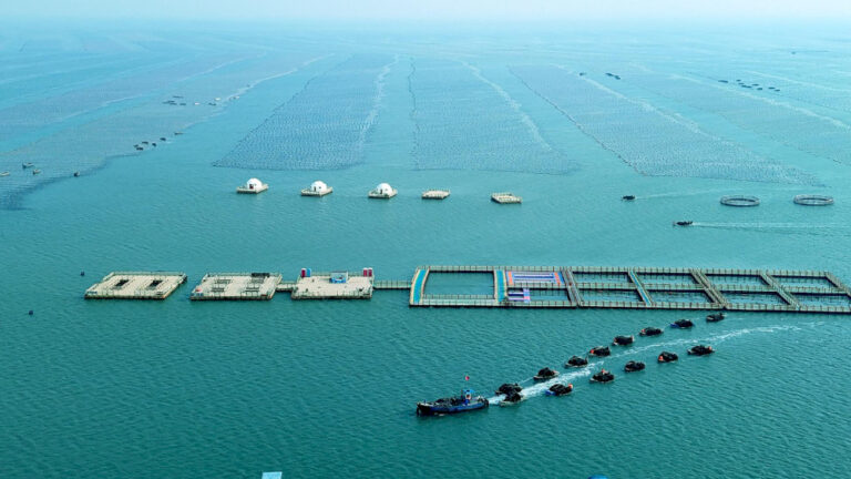 Produksi ekonomi maritim Tiongkok naik 5,6 persen pada semester pertama, kata kementerian