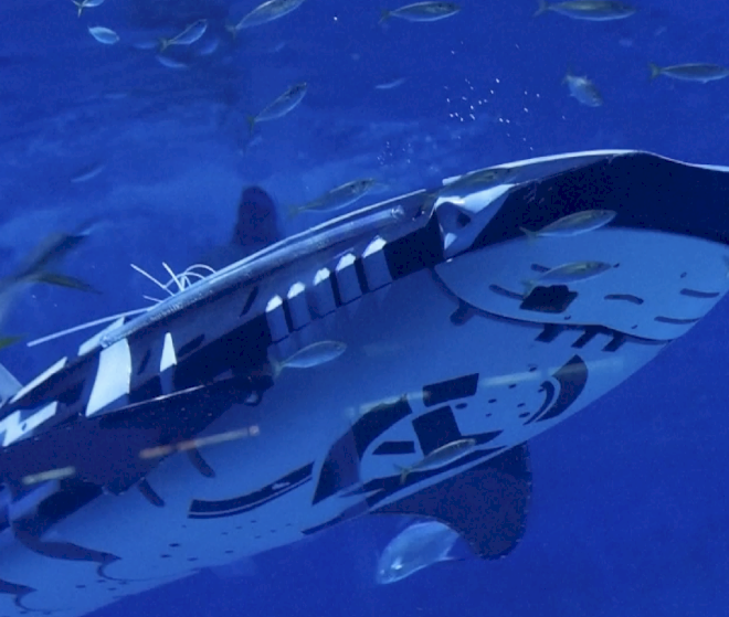 Temui hiu paus robotik cerdas pertama di dunia