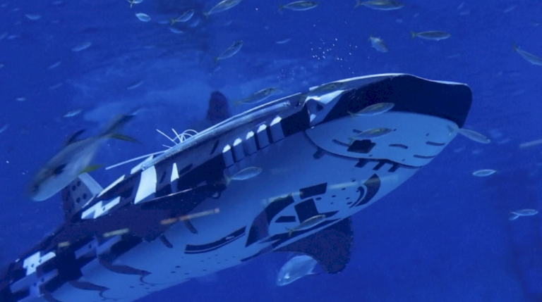 Temui hiu paus robotik cerdas pertama di dunia