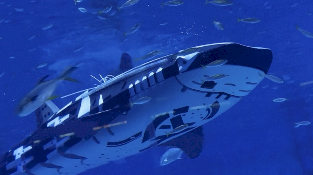 hiu paus robotik cerdas