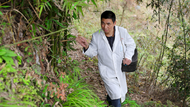 Data terbaru menunjukkan Tiongkok memiliki 1,1 juta dokter di pedesaan