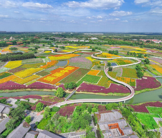 Mengapa pedoman Tiongkok tentang transisi hijau diperlukan
