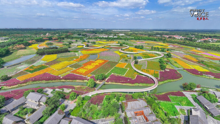 Mengapa pedoman Tiongkok tentang transisi hijau diperlukan