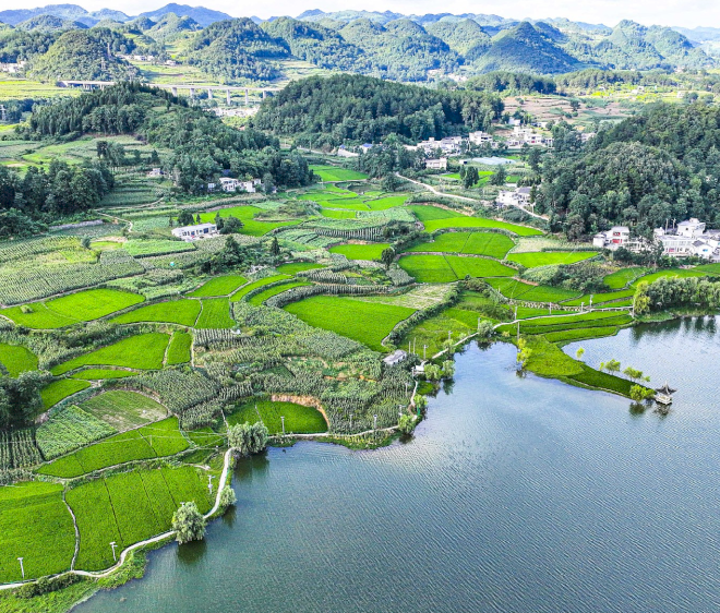 Tiongkok gariskan tugas utama untuk konservasi ekologi