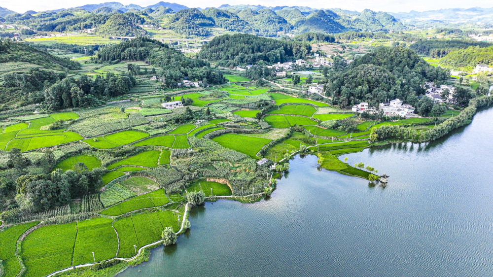 tiongkok-gariskan-tugas-utama-untuk-konservasi-ekologi