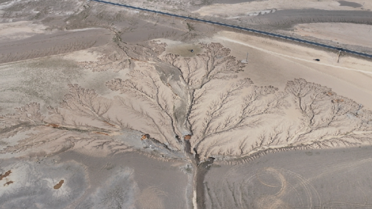 “Pohon Bumi” di Xizang tampak seperti nyata