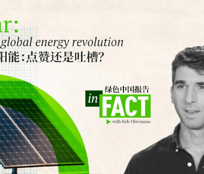 Faktanya: revolusi matahari global di Tiongkok