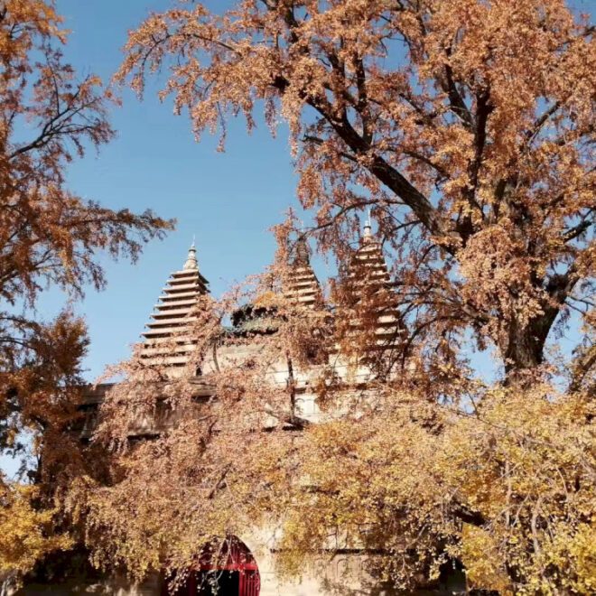 Kunjungi Disini: Wutasi & Museum Ukiran Batu