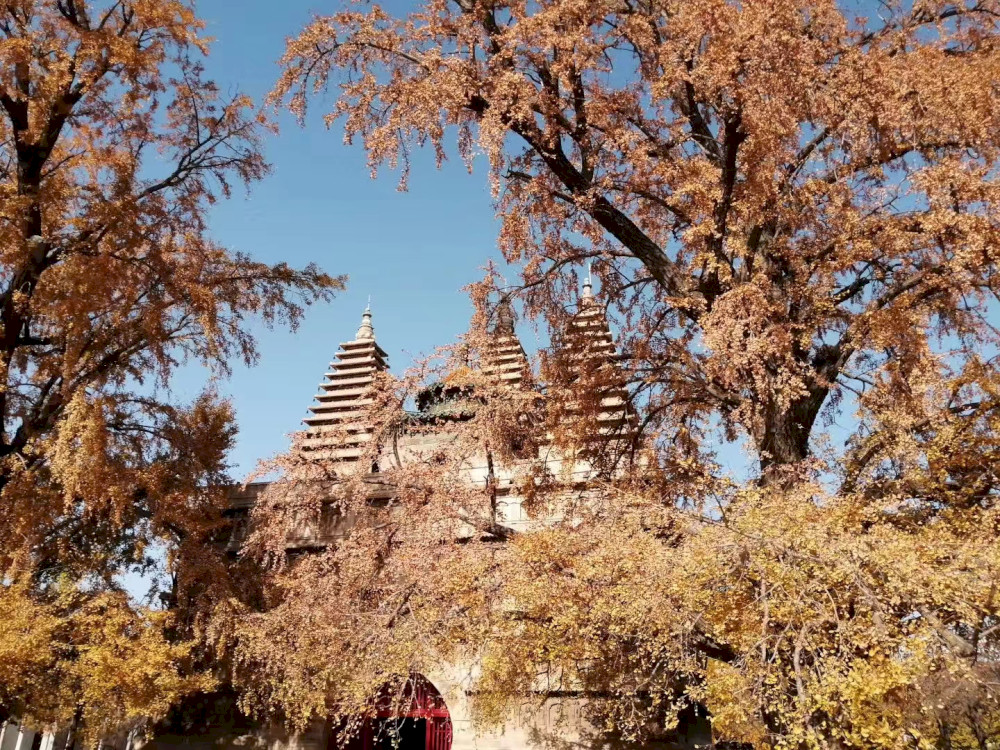 kunjungi-disini:-wutasi-&-museum-ukiran-batu