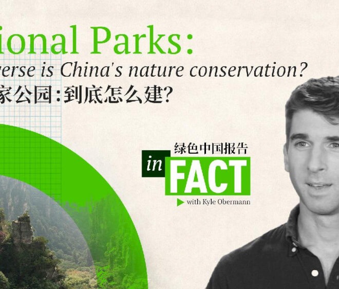 Faktanya: Seberapa beragamkah konservasi alam di Tiongkok?
