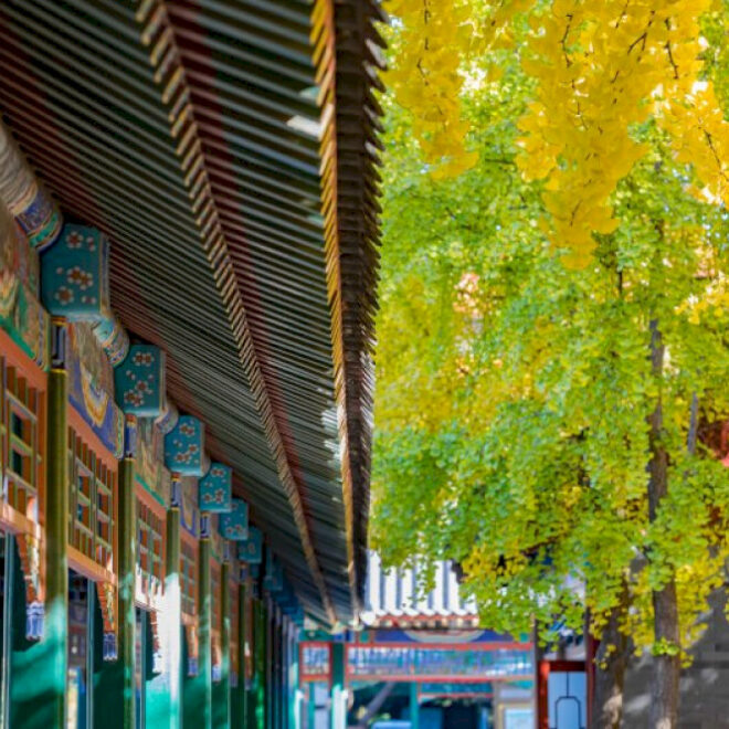 Mandarin Monday: 15 Kata dan Frasa Penting Musim Gugur