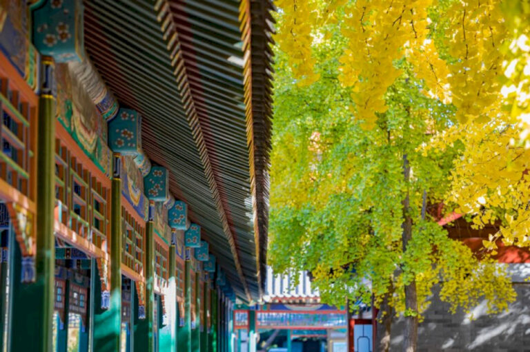 Mandarin Monday: 15 Kata dan Frasa Penting Musim Gugur