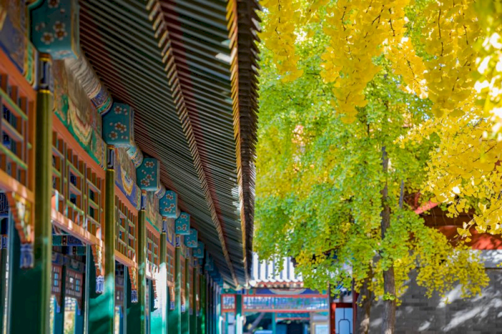 mandarin-monday:-15-kata-dan-frasa-penting-musim-gugur