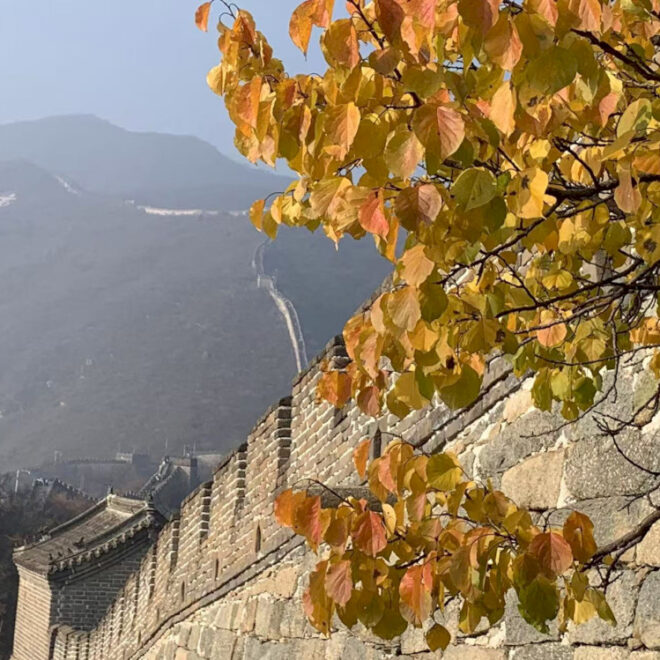 Yang Terbaik dari Beijing dalam Foto Pembaca: Warna Musim Gugur