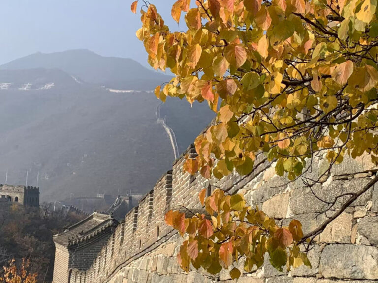 Yang Terbaik dari Beijing dalam Foto Pembaca: Warna Musim Gugur