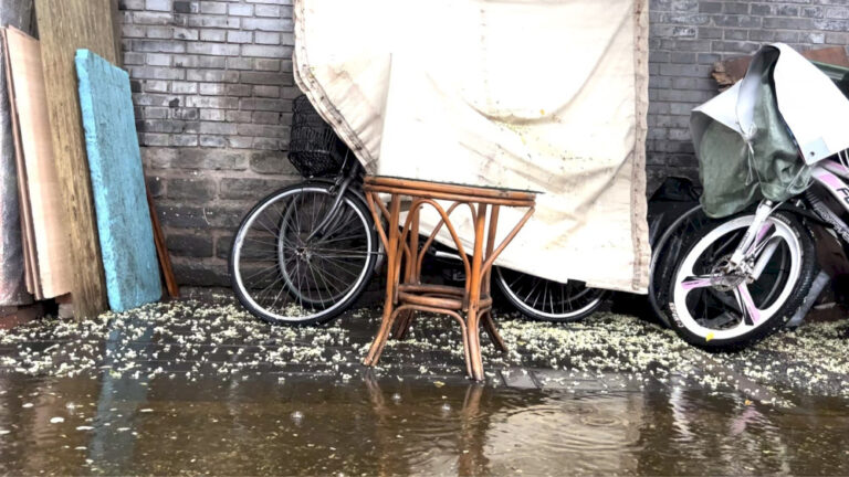 24 jam di Beijing dengan penyair Anthony Tao