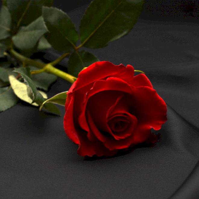 Feel the Love: Lebih Banyak Kesepakatan Hari Valentine & Spesial di Beijing