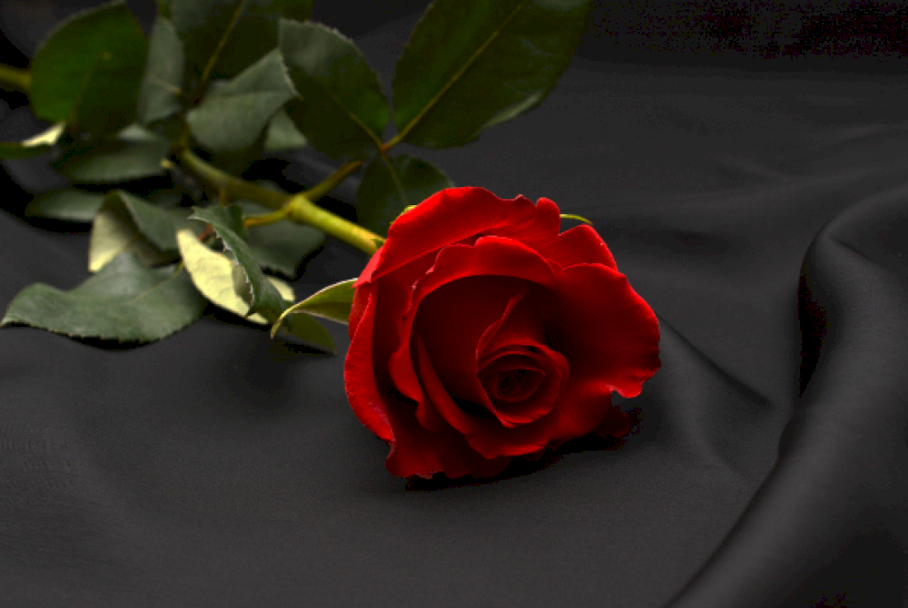 feel-the-love:-lebih-banyak-kesepakatan-hari-valentine-&-spesial-di-beijing