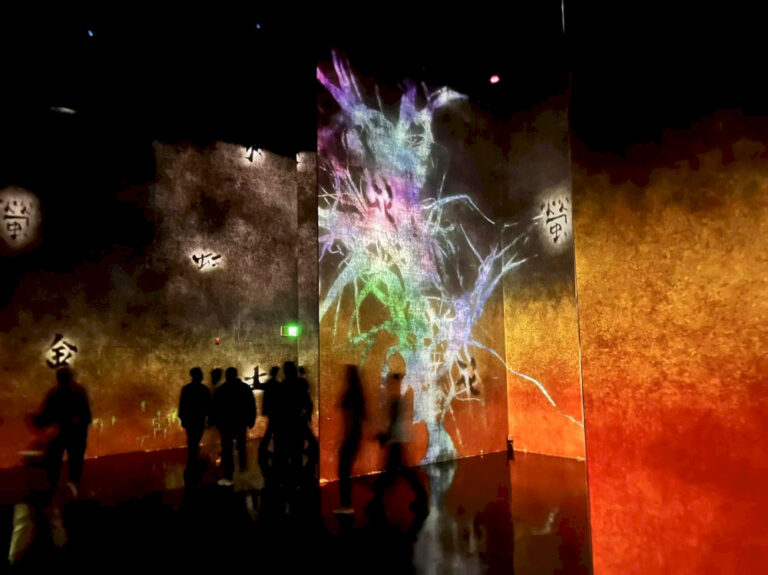Melangkah ke Wonder at the TeamLab “Massless” Exhibition
