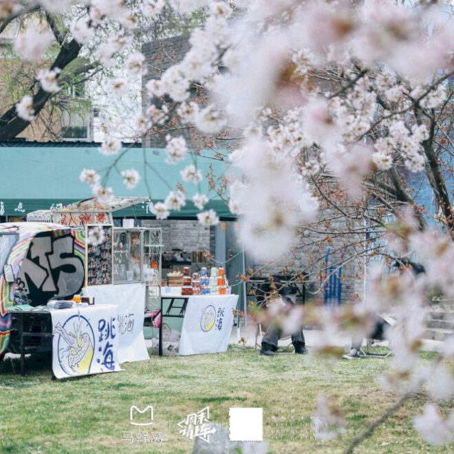 Selamat datang musim semi di Three Shadows Sakura Photo Fair