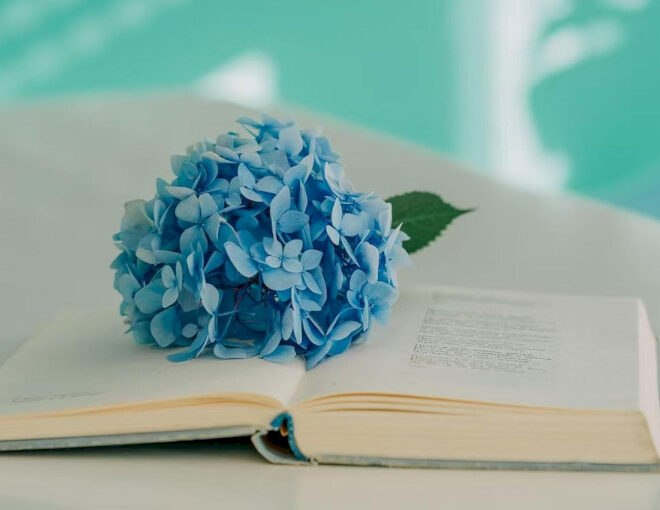 Rayakan Bulan Puisi Nasional: Lima Beijingers berbagi puisi favorit mereka