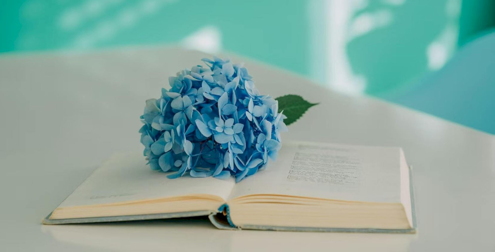 rayakan-bulan-puisi-nasional:-lima-beijingers-berbagi-puisi-favorit-mereka