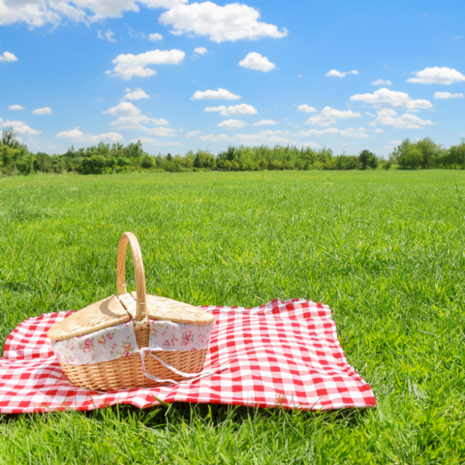 Taobao Picnic Must-Haves untuk Perfect Beijing Outings
