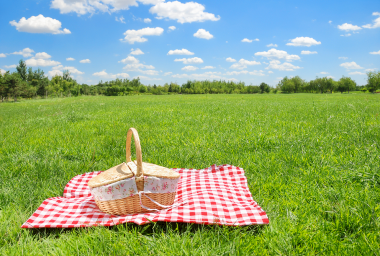 Taobao Picnic Must-Haves untuk Perfect Beijing Outings