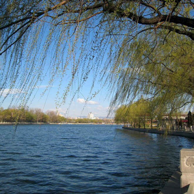 Liburan sibuk: hal -hal yang harus dilakukan di sekitar Beijing hari ini, 4 Mei