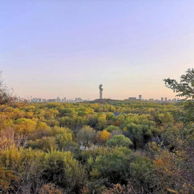 Menghirup udara segar di hutan Beijing
