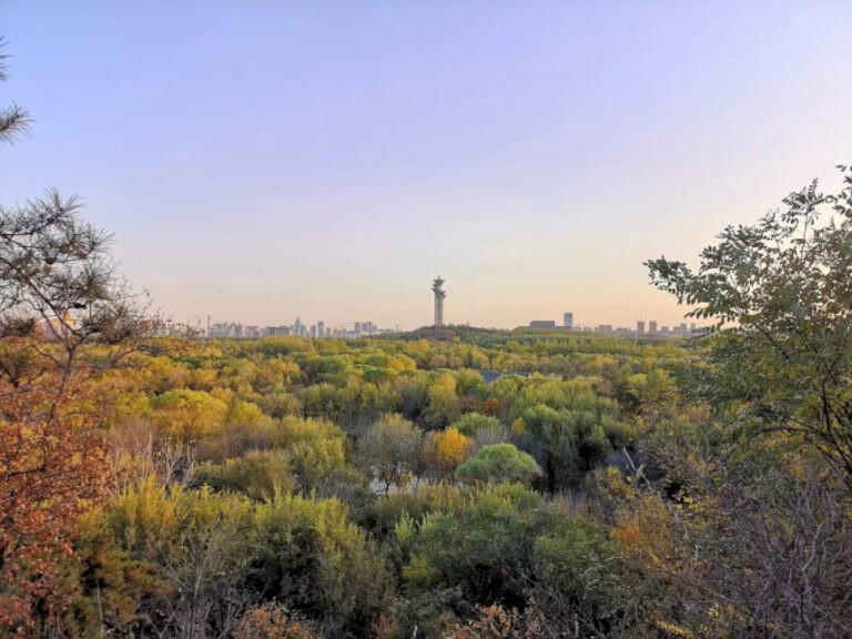 Menghirup udara segar di hutan Beijing