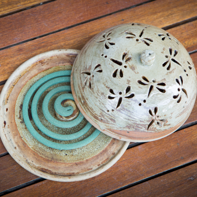 Battling Mosquitoes: Dari Obat Lama hingga Solusi Teknologi Tinggi